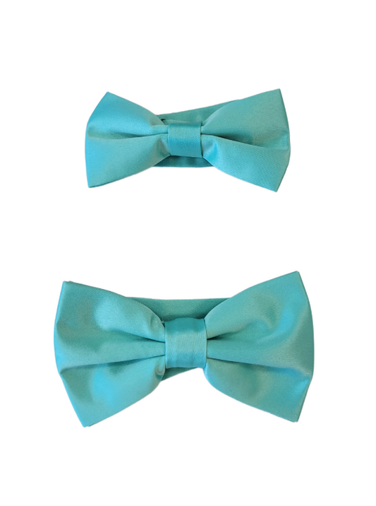 Aqua Bow Tie