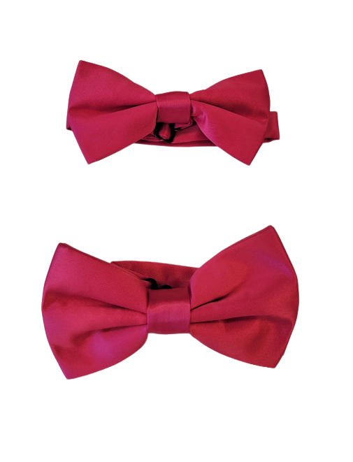 Hot Pink Bow Tie