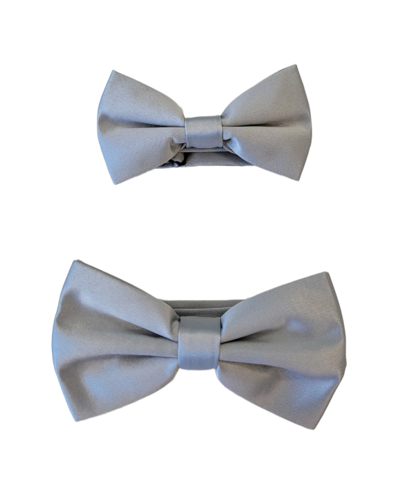 Silver Bow Tie