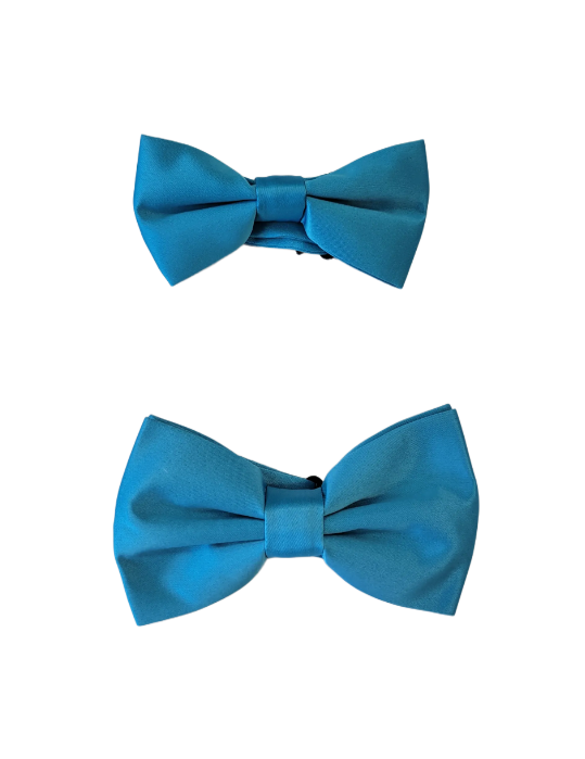 Turquoise Bowtie