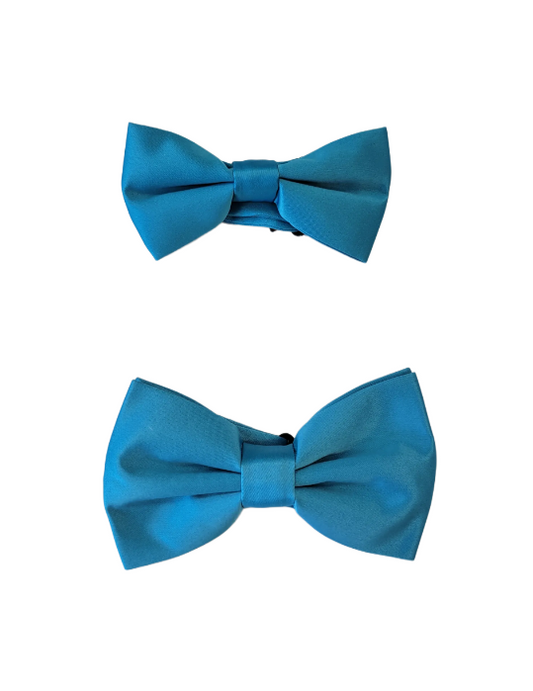 Turquoise Bowtie